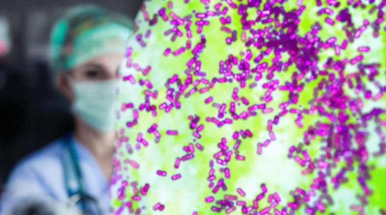 aperçu de l'infection par citrobacter koseri